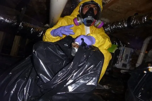 A technician in protective gear handling a sewage and black water cleanup in a Forest Park, GA home